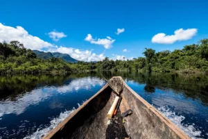 Amazônia