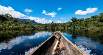 Amazônia: Fatos Incríveis Sobre A Maior Floresta Do Mundo