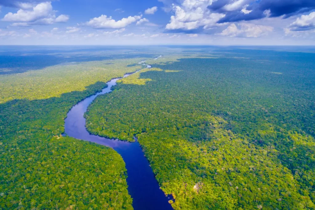 Grandeza da Amazônia