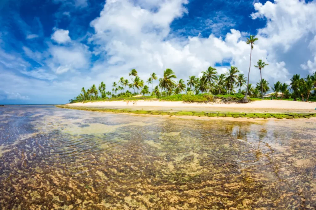 Praia do Forte, Bahia