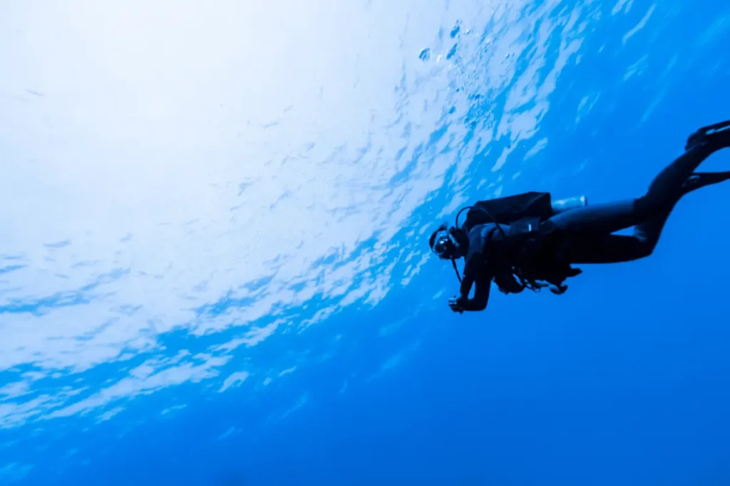 Mergulho em Fernando de Noronha