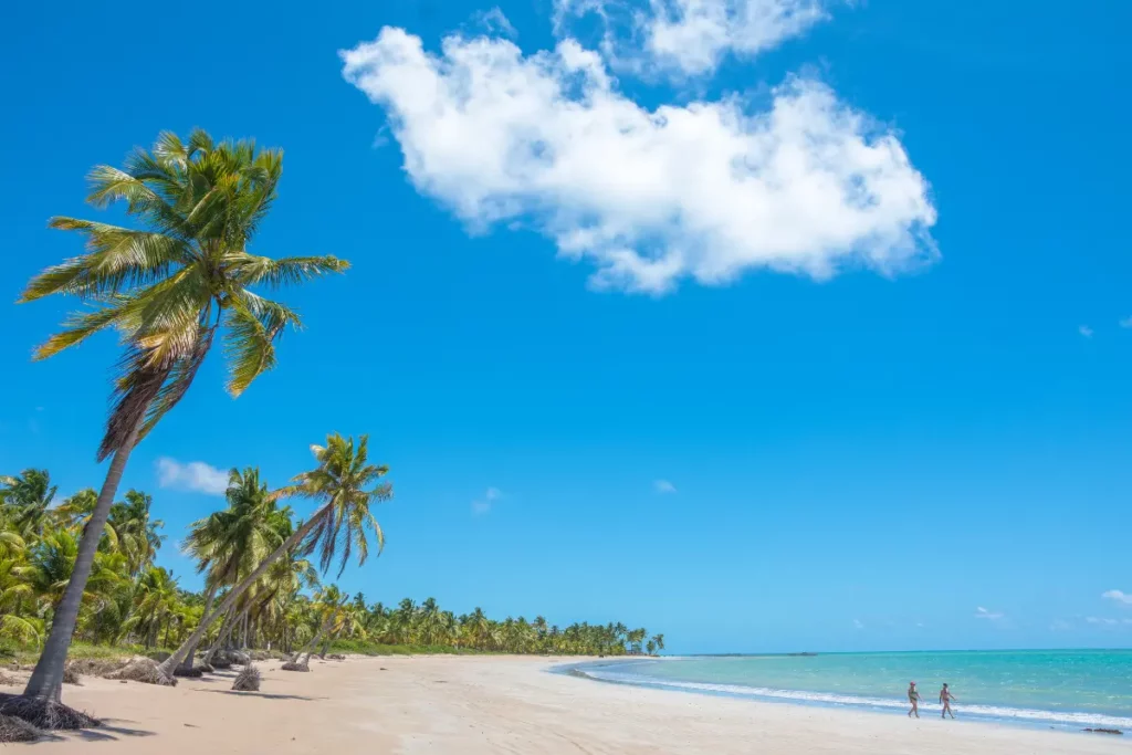 Praia da Ipióca, Maceió