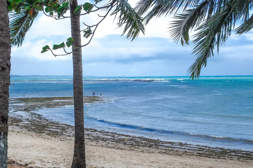 Praia de Pajuçara, Maceió